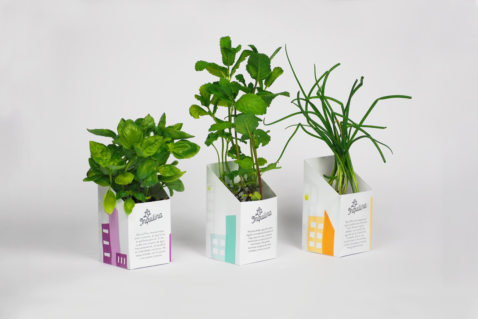 植物盆栽的包装设计让消费者和产品互动起来(图5)