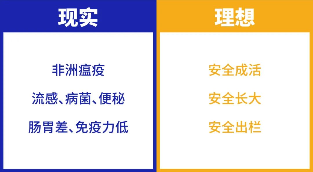 鲲鹏饲料品牌升级为鲲鹏安全饲料进一步强化品牌优势(图1)