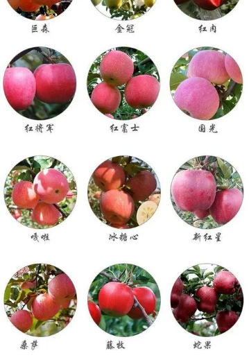 四喜：揭开品牌卖货的核心秘密(图6)