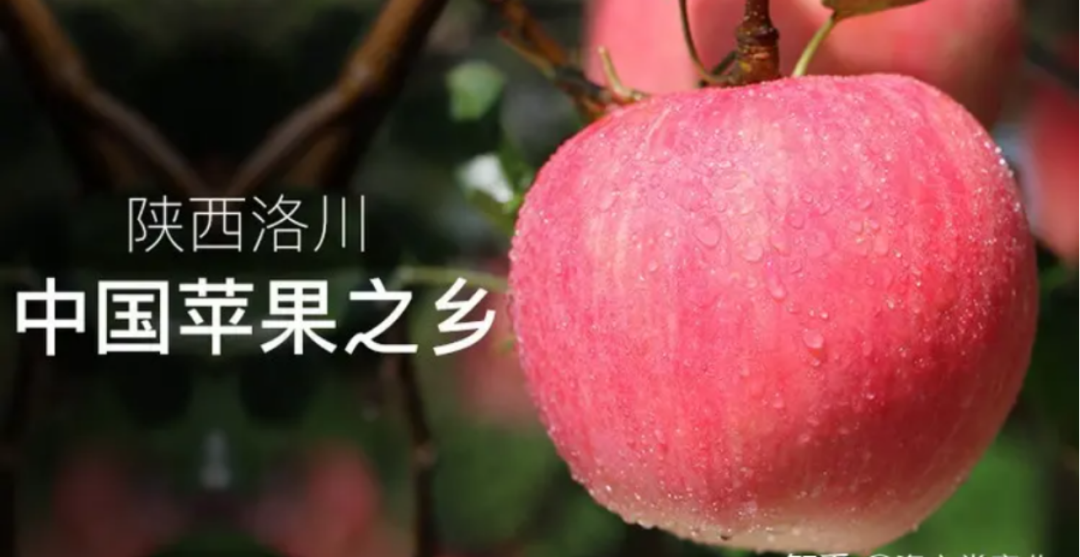 四喜：揭开品牌卖货的核心秘密(图16)