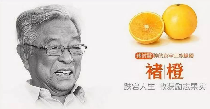 四喜：“包装五力”要有力量之三——选择力(图19)